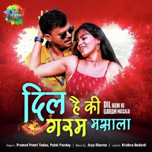 Dil Hain Ki Garam Masala image