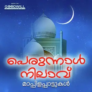 Perunnal Nilavu image