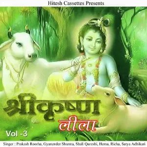 Shree Krishan Leela Vol. 3 image