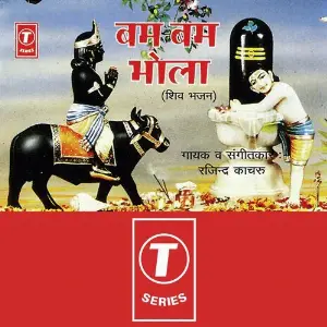 Bam Bam Bhola image