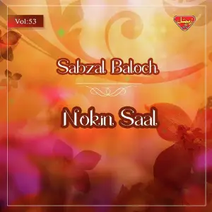 Nokin Saal, Vol. 53 image