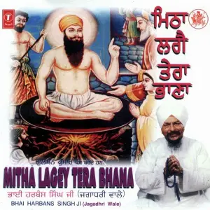Mitha Lagey Tera Bhana (Vol. 78) image