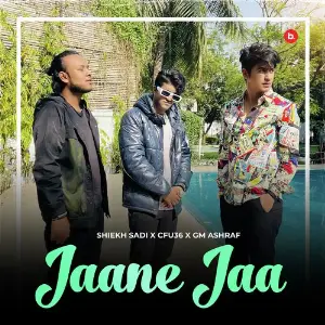 Jaane Jaa image