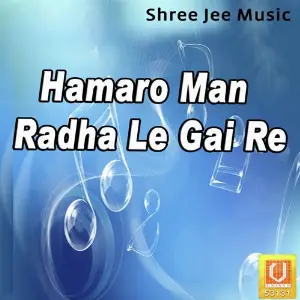 Hamaro Man Radha Le Gai Re image