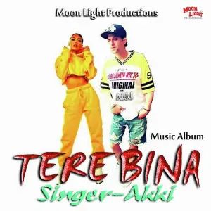 Tere Bina image