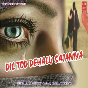 Dil Tod Dehlu Sajaniya image