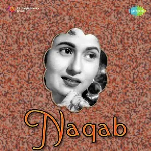 Naqab image