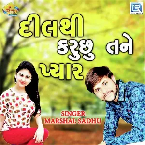 Dil Thi Karu Chhu Tane Pyar image