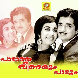 Paadatha Veenayum Paadum image