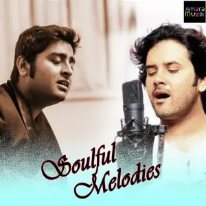 Soulful Melodies image