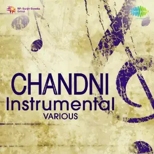 Chandni Instrumental - Flute image
