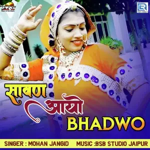 Savan Aayo Bhadwo image