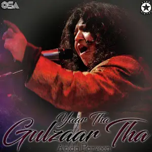 Yaar Tha Gulzaar Tha image