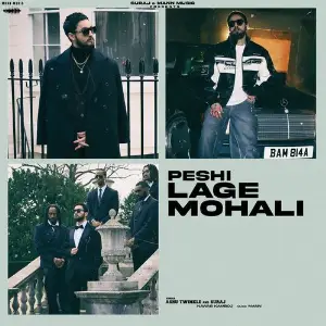 Peshi Lage Mohali image