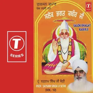 Salok Bhagat Kabir Ji (Vol. 12) image