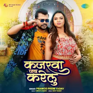 Kajarwa Jab Karelu image