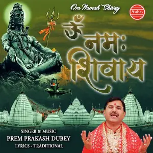 Om Namah Shivay image