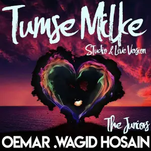 Tumse Milke image