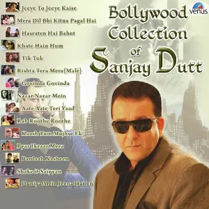 Bollywood Collection Of Sanjay Dutt image