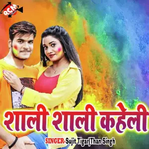 Sali Sali Kaheli image