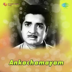 Ankachamayam image