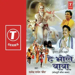Hey Bhole Baba image