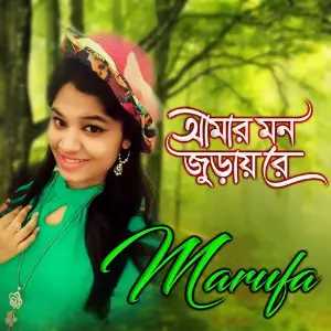 Amar Mon Jurayre image