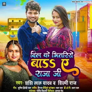 Dil Ke Bhitariya Bada Ae Raja Jee image