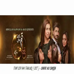 Tum Se Hi Taluq Hai - Ost image