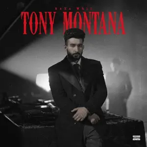 Tony Montana image