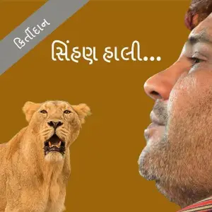 Sihan Hali image