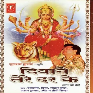 Deewane Tere Dar Ke image