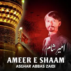 Ameer E Shaam - Single image