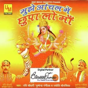 Mujhe Anchal Me Chhupalo Maa image