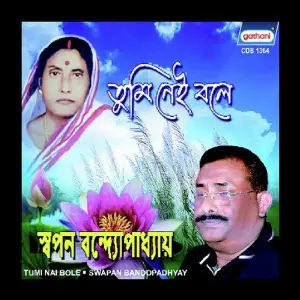Tumi Nai Bole image