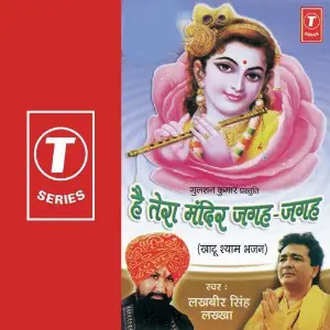 Hai Tera Mandir Jagaha Jagaha image