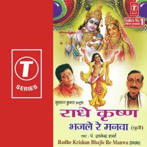 Radhe Krishan Bhajle Re Manwa image