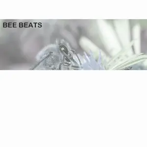 Bee Beats image