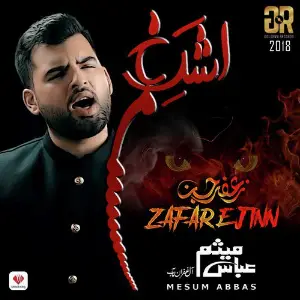 Zafar E Jinn image
