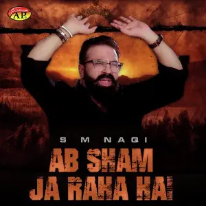 Ab Sham Ja Raha Hai image