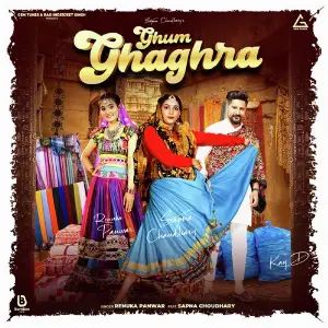 Ghum Ghaghra image
