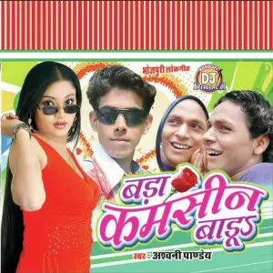 Badi Kamseen Badu image
