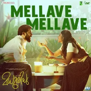 Mellave Mellave (From Madhuvidhu) image