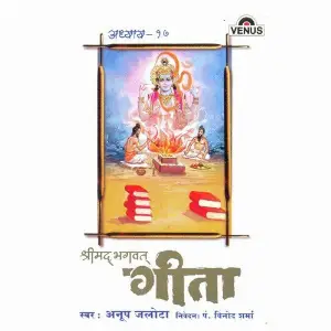 Shreemad Bhagwat Geeta - Vol. 17 image