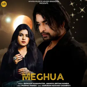 Meghua image