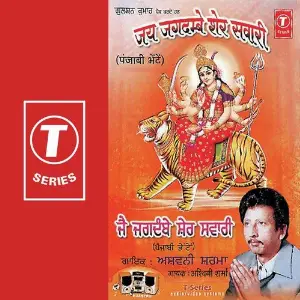 Jai Jagdambe Sher Sawari image