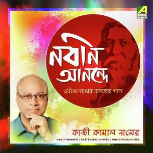 Nabin Anande image
