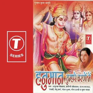Hanuman Tumhare Charno Mein image