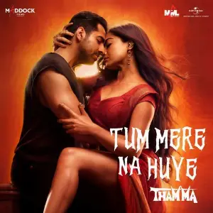 Tum Mere Na Huye (From Thamma) image