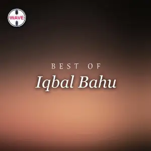 Best Of Iqbal Bahu image